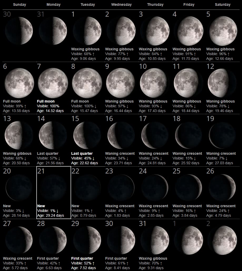 Какая луна в марте 2024 г. Moon Lunar Calendar 2022. Фаза Луны календарь 2021. Лунный календарь полнолуние 2023. Фазы Луны в июле 2023 года.