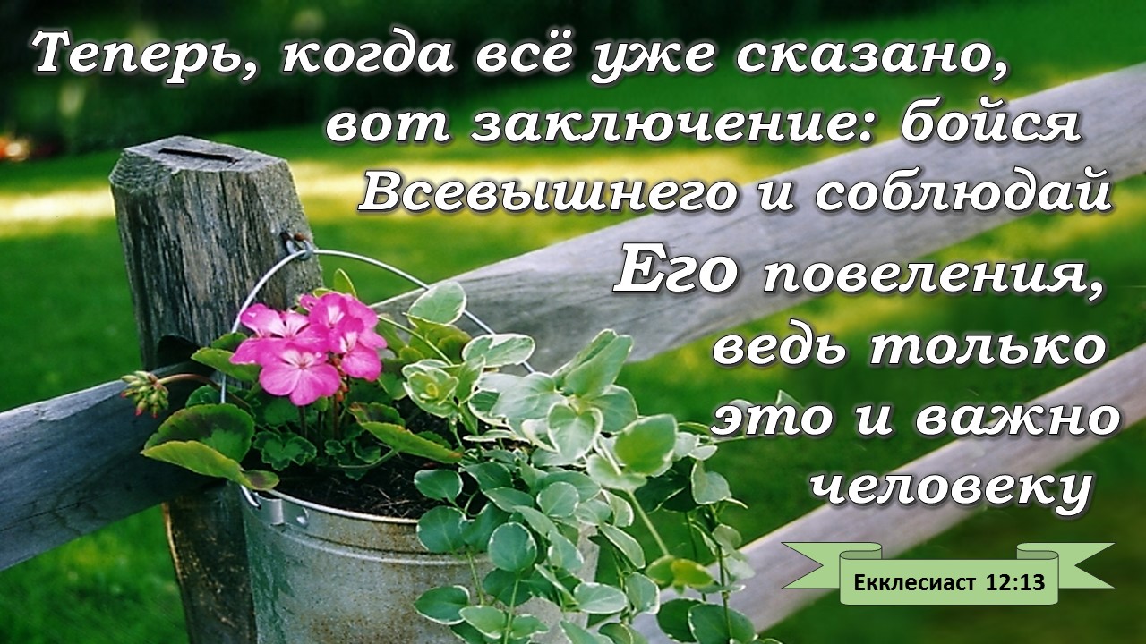 Библейские стихи. Стихи из Библии. Христианские стихи из Библии. Христианские слова из Библии. Христианские открытки со стихами из Библии.