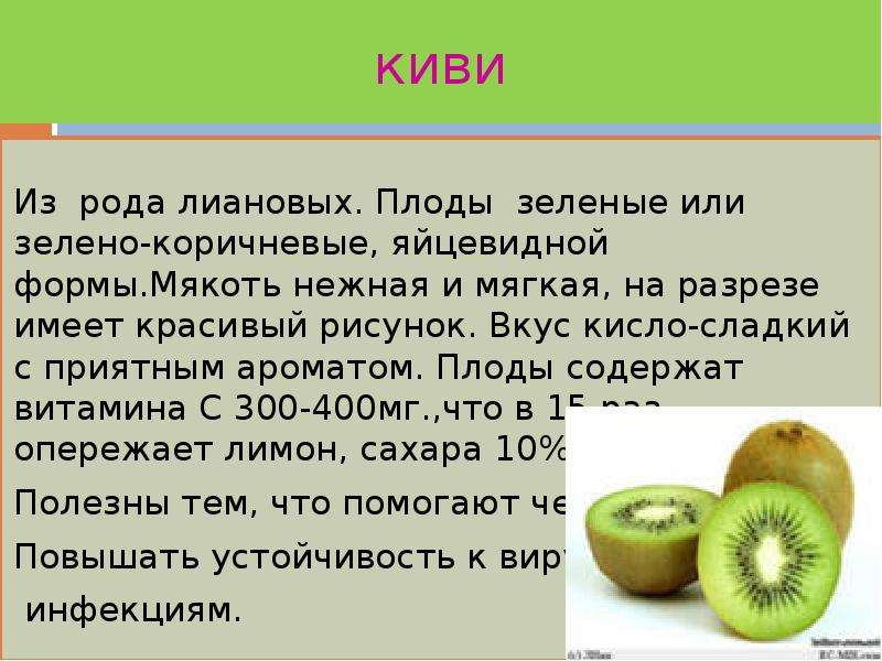 Польза киви для организма. Киви характеристика. Киви фрукт витамины. Краткая информация о фрукте киви. Киви какие витамины содержит и чем полезен.